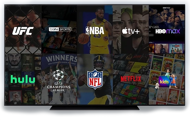 IPTV Interface on TV